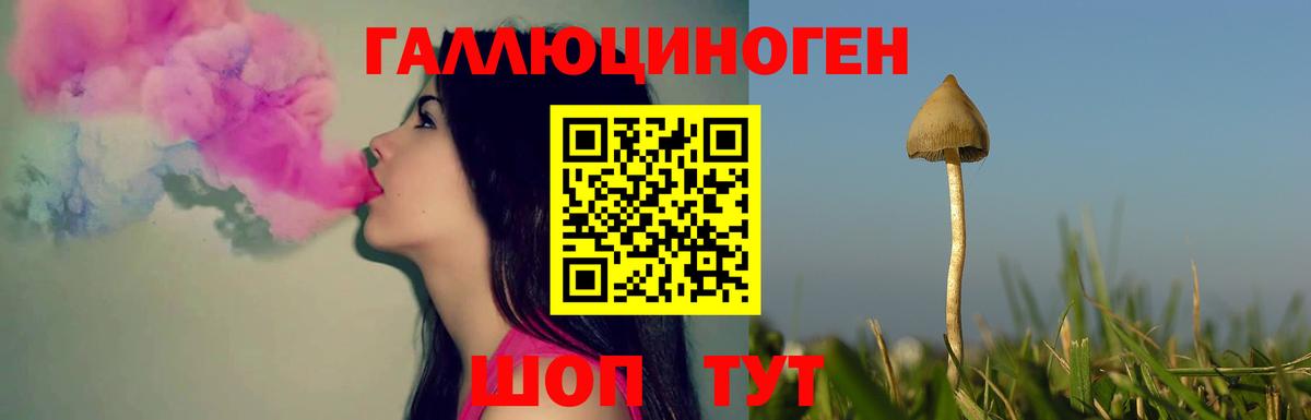 Черняховск  Галлюциногенные грибы мицелий  Вход с VPN 